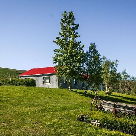 Rjupa Guesthouse Hroarsstathir Zewnętrze zdjęcie